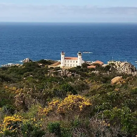 Belle A La Campagne Dans Un Coin Cosy Feriehus Sartène